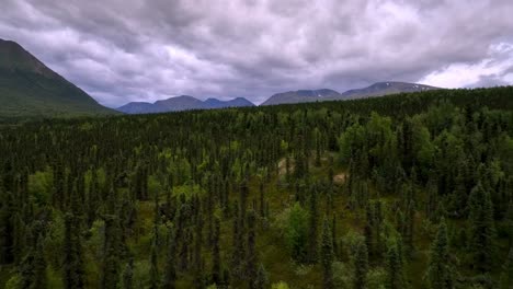 aerial-pullout-from-alaska-wilderness
