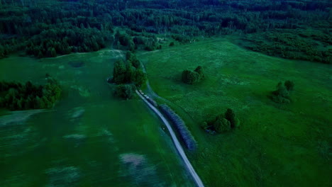 A-Smooth-Reveal-Shot-Of-A-Green-Moody-Landscape-With-A-Forest-Line-And-A-Grassland