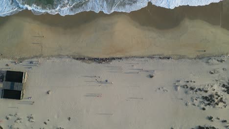 Vogelperspektive-Am-Strand-Von-Bacocho:-Sand,-Meer-Und-Freigelassene-Schildkröten,-Puerto-Escondido,-Oaxaca,-Mexiko