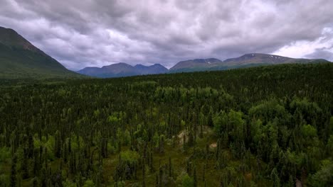 aerial-tilt-up-to-Alaska-Wilderness