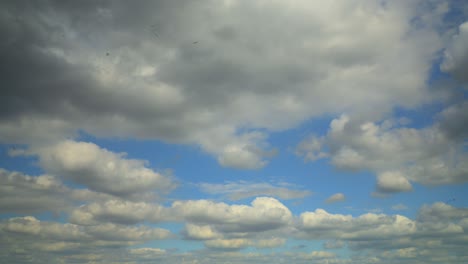 Fluffy-clouds-moving-past-with-patches-of-blue-sky-on-summer-day