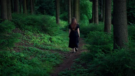 Young-woman-in-a-long-dress-and-brown-long-hair-walks-along-a-forest-path-in-a-dense-dark-forest