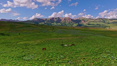 Luftaufnahmen-über-Grünen-Hügeln-Und-Wiesen-In-Der-Nähe-Des-Crested-Butte-Mountain-Mit-Wildpferden-Im-Vordergrund,-Colorado,-USA
