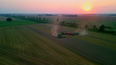 Combine-harvesters-gathering-wheat-crops-at-sunset---aerial-view