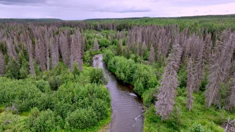Slow-aerial-push-in-Funny-River-near-Soldotna-Alaska