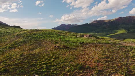 Luftaufnahme-über-Einem-Hügel-In-Der-Nähe-Des-Crested-Butte-Mountain-Mit-Wildpferden-Im-Vordergrund,-Colorado,-USA