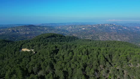 Drone-flight-over-the-wooded-mountains-overgrown-with-pine-trees-on-the-island-of-Cyprus