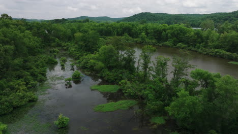 Río-Dentro-Del-Parque-Estatal-Mousetail-Landing-En-Linden,-Tennessee,-EE.UU.