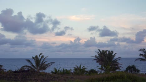 Wolken-Bewegen-Sich-Bei-Sonnenuntergang-Langsam-über-Dem-Meer,-Mit-Palmen-Im-Vordergrund