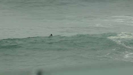 A-bodyboarder-passes-over-a-wave-as-he-heads-out-farther-into-sea