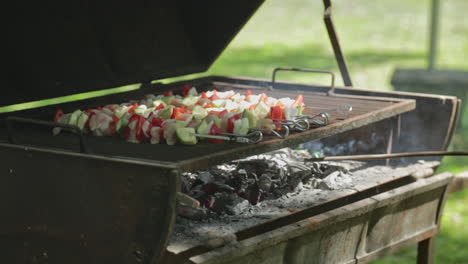 Chicken-and-vegetable-skewers-or-brochettes-on-a-grill-as-cook-arranges-coal