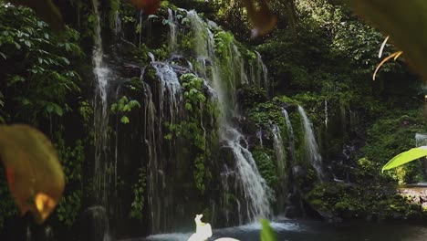 Beautiful-Wana-Amertha-waterfall-in-the-middle-of-the-jungle-of-Bali,-Indonesia