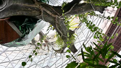 An-inside-view-of-the-indoor-rainforest-in-Dubai,-United-Arab-Emirates