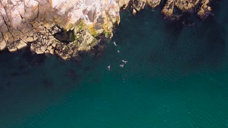 Top-Down-Shot-of-People-Swimming-in-the-Sea-by-the-Rocks
