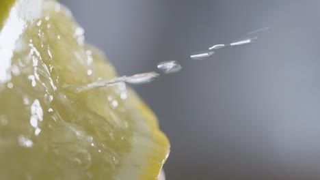 Squeezing-fresh-sliced-lemon,-releasing-citrus-juice-in-Slow-motion,-Extreme-macro-shot