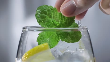 Slow-motion-shot-of-placing-spearmint-leaves-on-glass-with-lemon-slice-and-ice-cubes,-Close-up