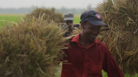 Lächelnde,-Glückliche-Bauern,-Die-Während-Der-Erntezeit-Der-Bangladeschisch-bangladeschischen-Landwirtschaft-Schwere-Reislasten-Auf-Der-Schulter-Tragen