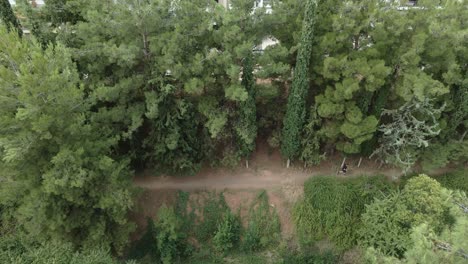 Aerial-shot-of-a-man-running-on-a-path-through-the-trees