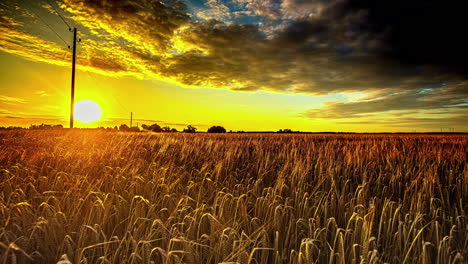 Atemberaubender-Zeitraffer-Des-Sonnenuntergangs-Zur-Goldenen-Stunde-Mit-Leuchtend-Gelben-Und-Orangefarbenen-Himmeln-über-Einer-Malerischen-Agrarlandschaft