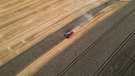 Effiziente-Moderne-Landwirtschaft:-Drohne-Erfasst-Einen-Mähdrescher-Beim-Ernten,-Dreschen-Und-Sortieren-Goldener-Körner-In-Einem-Weizenfeld