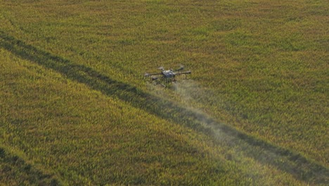 A-high-speed-shot-of-a-DJI-Agricultural-drone-spraying-pesticides-or-fertilizer-onto-rice-crop-in-Texas