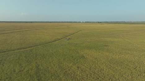 A-tracking-shot-of-a-DJI-Agricultural-drone-spraying-pesticides-or-fertilizer-onto-crop-below-in-Texas