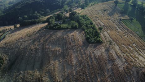 aerial-shot-of-a-weather-beaten-wheat-field-on-top-of-an-Italian-hill