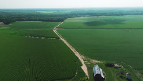 Vista-Panorámica-De-Campos-Agrícolas-Verdes-En-Biscoe,-Condado-De-Prairie,-Arkansas,-Estados-Unidos---Disparo-De-Drones