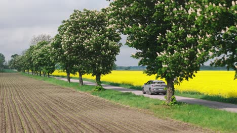 SUV-electric-vehicle-drives-along-country-road-by-yellow-canola-field