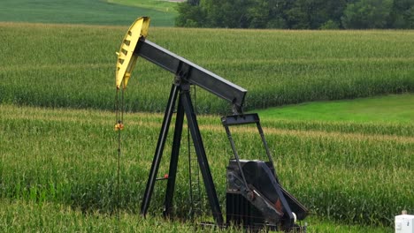 Oil-well-in-middle-of-cornfield-in-tassel-during-summer