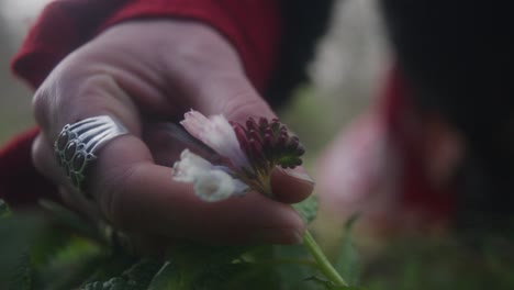 Nahaufnahme-Von-Händen,-Die-Eine-Blume-Auf-Dem-Waldboden-Berühren