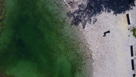 Aerial-top-down-shot-of-clear-water-with-bridge-in-Idrijska-Bela-during-sunny-day-in-Slovenia---Rising-shot