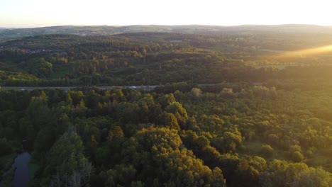Motorway-with-Cars-Surrounded-by-Dense-Forest-Landscape---Sunrise-Aerial-Drone-Footage