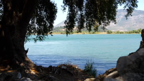 Butrint,-Albania,-view-of-the-mountain-and-lake-through-leaves-and-tree-branches
