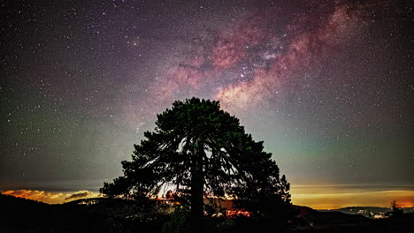 Timelapse-Captures-Silhouetted-Tree-as-Night-Stars-Drift-Across-the-Sky,-City-Lights-Creating-a-Mesmerizing-Glow-Backdrop-from-an-Observing-Point