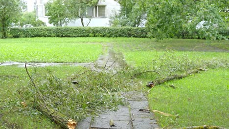 Broken-tree-branch-seen-blocking-the-sidewalk-after-a-severe-storm
