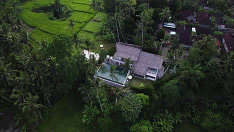 Airbnb-Vacation-Rental-Real-Estate-Property-in-Tropical-Ubud,-Bali---Aerial