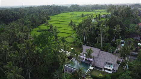 Tropical-Bali-Vacation-Rental-Villa-in-Ubud,-Cinematic-Aerial-Drone-View