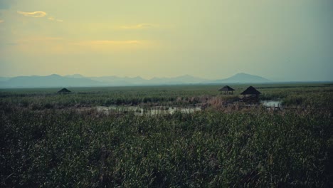 A-marsh-in-Thailand-with-pavillions-and-mountains-in-the-distance