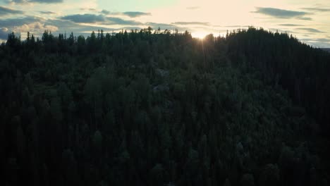 Sunset-sun-rays-flit-through-trees-growing-on-mountain-wilderness