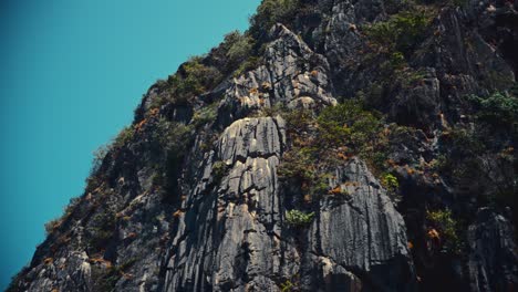Vegetation-growing-on-a-limestone-cliff-in-a-national-park-in-Thailand
