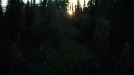 Drone-ascent-over-forested-mountainside-reveals-pristine-Nordic-valley-at-sunset