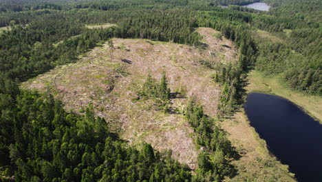 Aerial-drone-rotating-shot-flying-high-over-destroyed-forest-due-to-deforestation-or-environmental-disaster-alongside-a-lake-on-a-bright-sunny-day