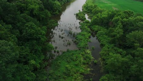 River-Surrounded-With-Lush-Green-Vegetation-In-Mousetail-Landing-State-Park,-Linden,-Tennessee,-USA---aerial-drone-shot