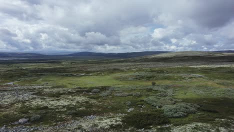 Low-flyover-of-untrampled-barren-tundra-landscape-in-central-Norway