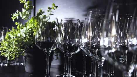 Close-up-shot-of-many-wine-glasses-kept-on-both-sides-of-an-indoor-plant-inside-a-restaurant