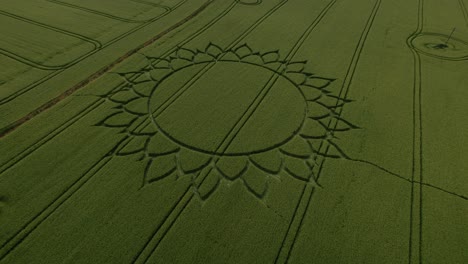 Vista-Aérea-Por-Drones-De-Un-Diseño-Floral-En-Círculo-De-Cultivos-Sobre-Campos-Cerca-De-La-Aldea-De-Potterne-En-Wiltshire,-Inglaterra