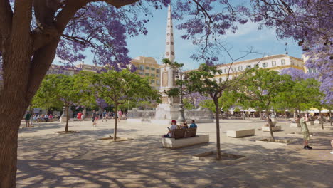 Wide-shot-of-plaza-de-Merced-moving-forward-under-blooming-purple-trees