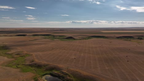 Vídeo-De-Drones-De-Tierras-Agrícolas-Afectadas-Por-La-Sequía-En-Las-Praderas-Del-Sur-De-Alberta
