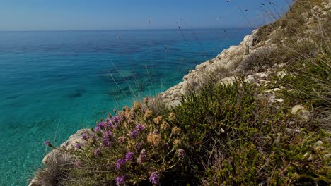 Seaside-background-with-violet-wild-flowers-on-cliffs-over-blue-turquoise-Mediterranean-sea-in-summer,-colorful-seascape